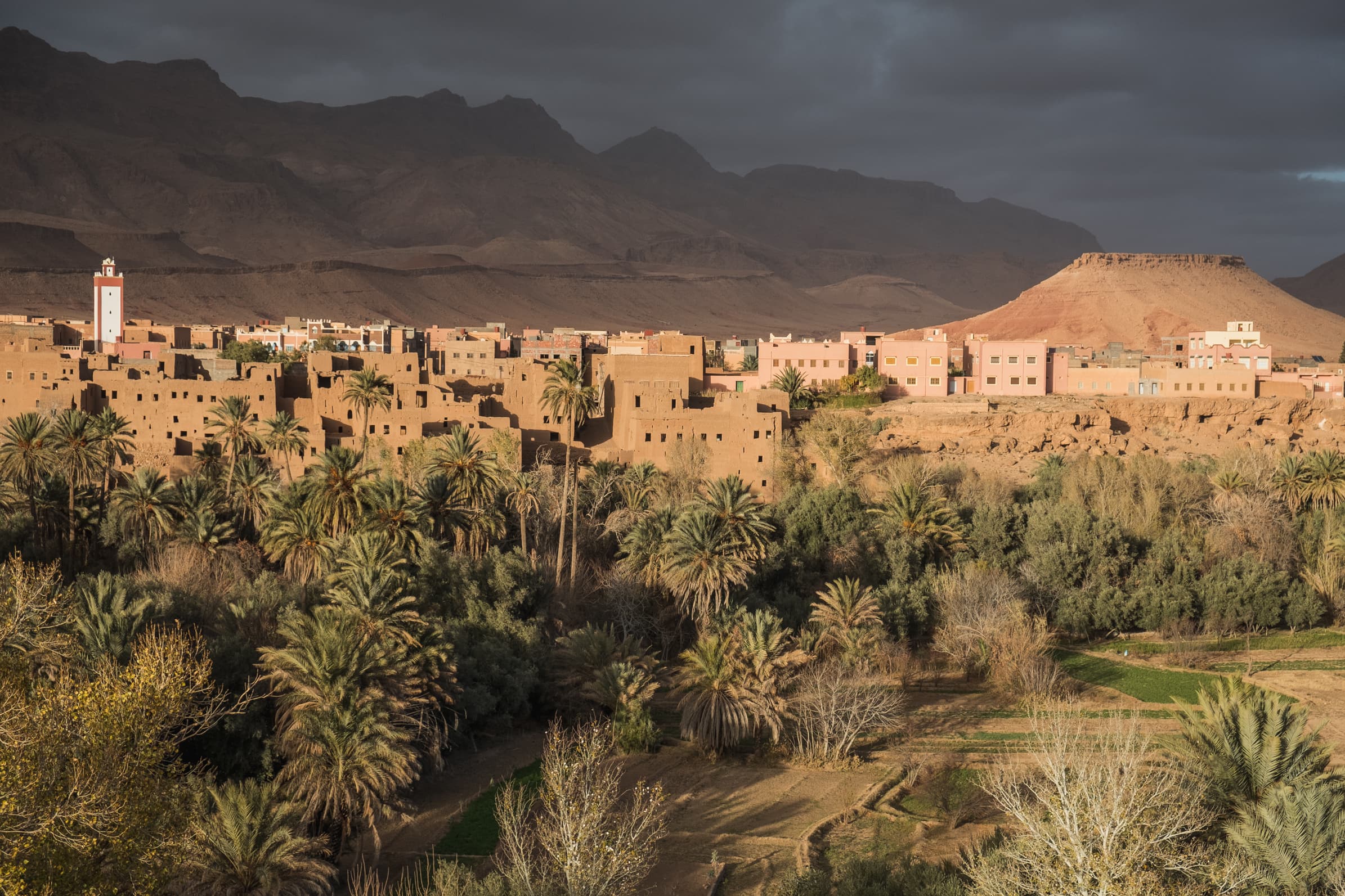 excursion alapalmeraie de skoura au maroc