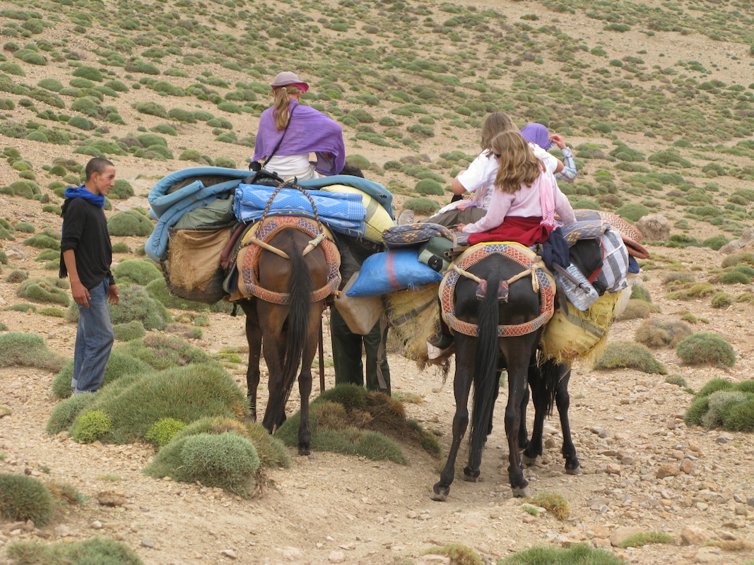 SOMMET -DU-M'goun-Maroc