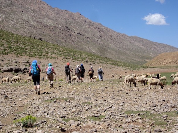 trek-montagne-mont-mgoun-randonnee-trek-guide-mont-mgoung-maroc-054